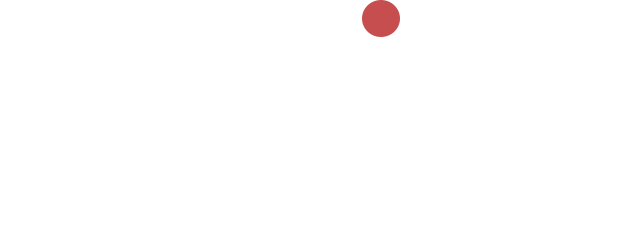 N-City Glogal Logo